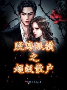 股海纵横之超级散户