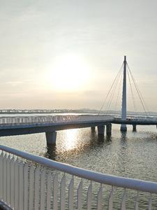 柯南之想躺平不让平 柯南之想躺平不让平