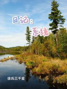 日记:系统 日记:系统