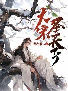 大宋圣天子 大宋圣天子