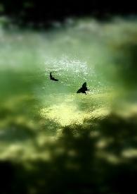 305的缤纷里 305的缤纷里