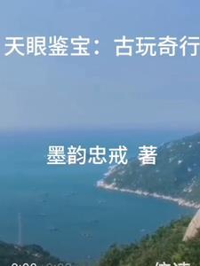 天眼鉴宝:古玩奇行 天眼鉴宝:古玩奇行